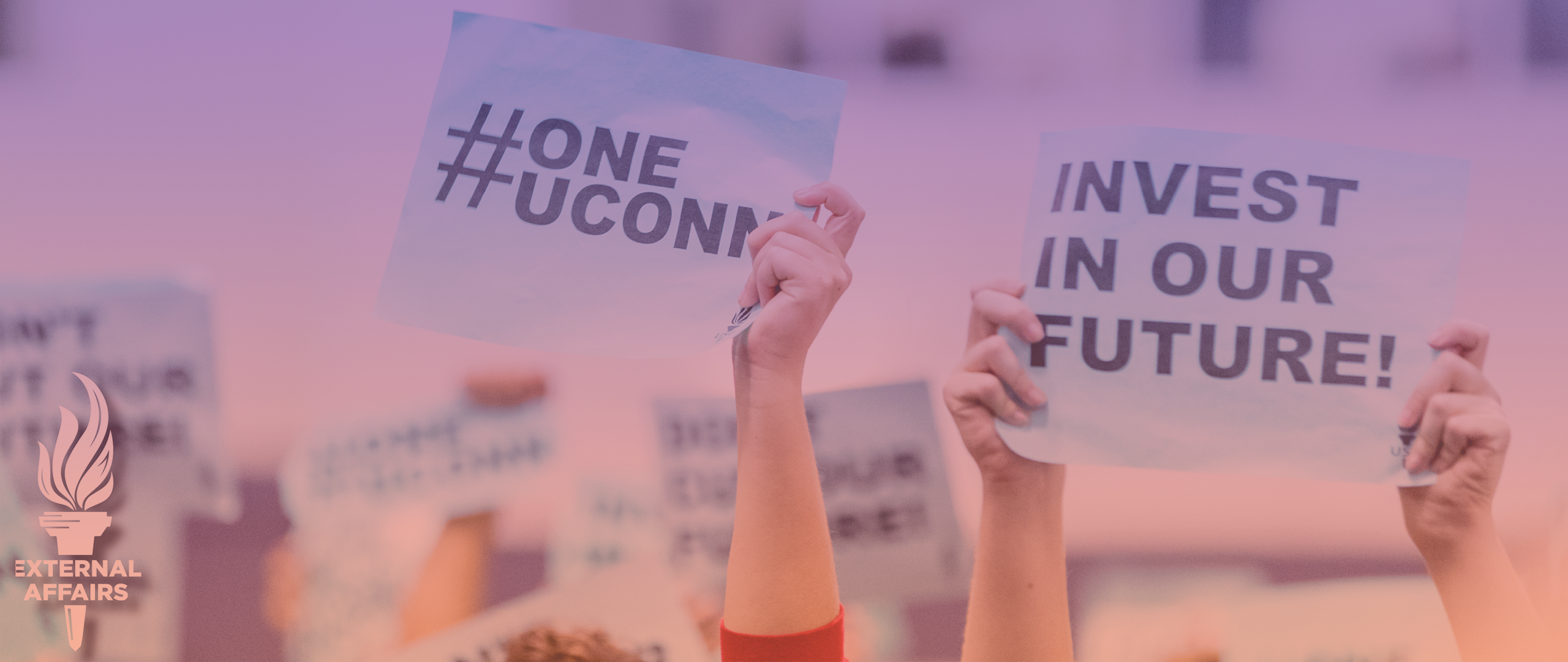 External Affairs hero image