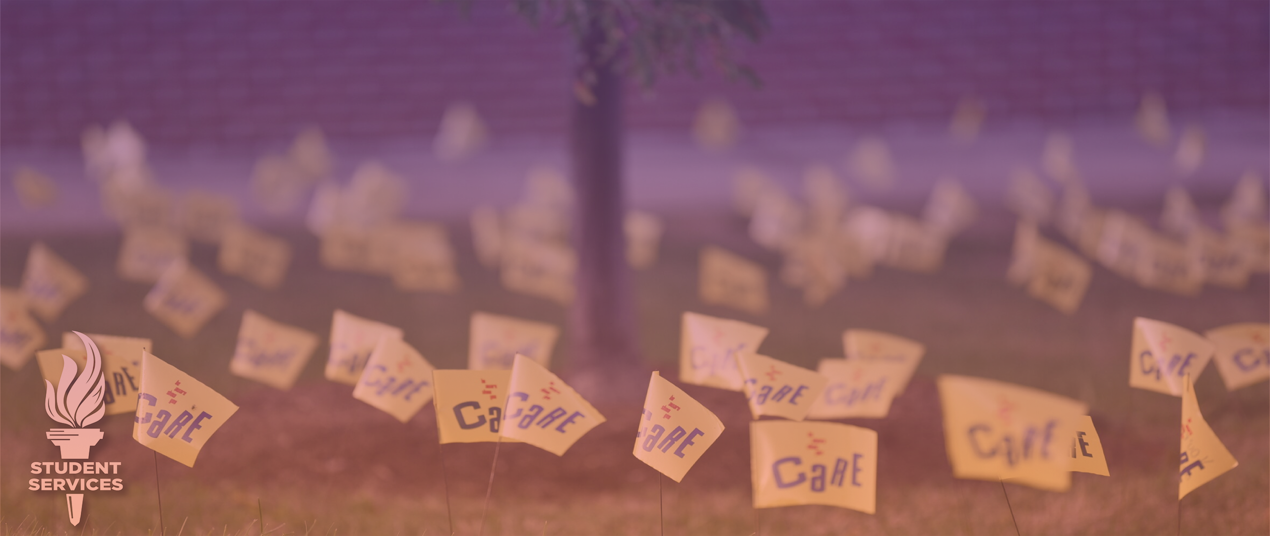 Student Services hero image