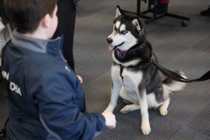 Photo of Jonathan XV